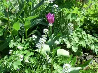 CIMG7292.webp