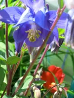 CIMG7296.webp