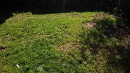 CAM00208.webp
