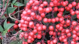 025.webp