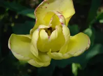 DSC03285.webp