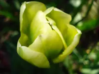 DSC03294.webp