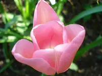 DSC03292.webp