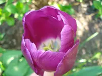 DSC03293.webp