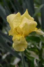 DSC_0030.webp