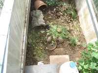 DSCF7693.webp