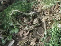 DSCF7694.webp