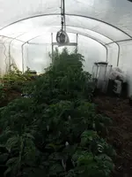 DSCF7717.webp