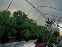 DSCF7719.webp