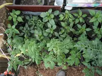 DSCF7722.webp