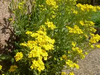 P1120195.webp