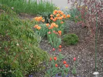 DSCF7746.webp