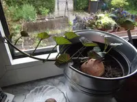DSCF4107.webp