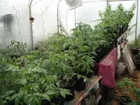 DSCF7737.webp