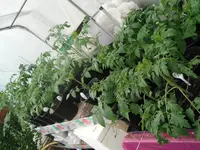 DSCF7743.webp