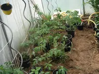 DSCF7744.webp