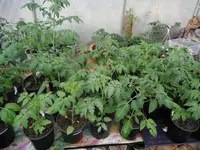 DSCF7745.webp
