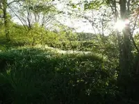 Osterspaziergang.webp