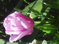 PICT0021.webp