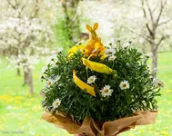 IMG_6749.webp