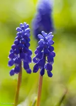 IMG_6358.webp