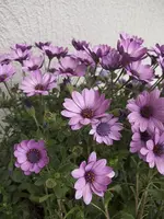 unbekannte_oben.webp unbekannte_oben.webp