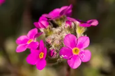 Stg 14-04-21-1802a.webp