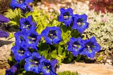 Stg 14-04-21-1801.webp