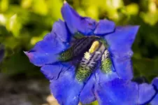 Stg 14-04-21-1813.webp