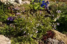 Stg 14-04-21-1805.webp