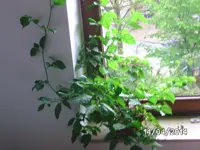 BILD4749.webp