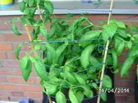 BILD4752.webp