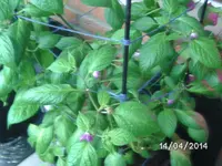 BILD4758.webp