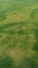 2014-04-21 16.39.17.webp