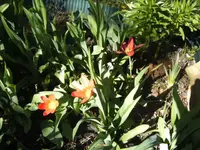 BILD2659.webp