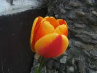 BILD2717.webp