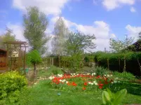 neu 302.webp