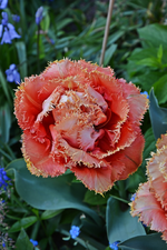 DSC_0836.webp