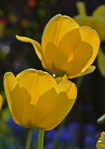 DSC_0839.webp