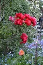 DSC_0834.webp