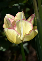 DSC_0802.webp