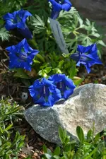 DSC_0818.webp