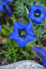 DSC_0849.webp