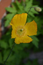 DSC_0858.webp