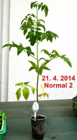 DSC_9082_2014-04-21_Normal_2.webp