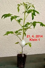 DSC_9086_2014-04-21_Klein_1.webp