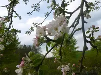 P1120250.webp
