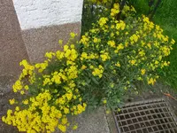 P1120229.webp