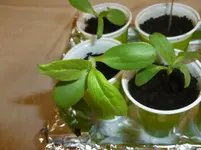 P1120174.webp