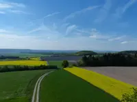 Fernsicht.webp